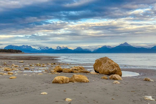 Homero Osos Marrones Grizzlies Lago Clark Parque Nacional Homero Águilas — Foto de Stock