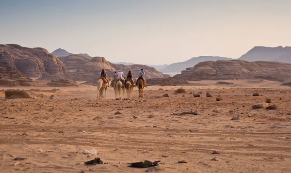 Caravane dans le désert — Photo