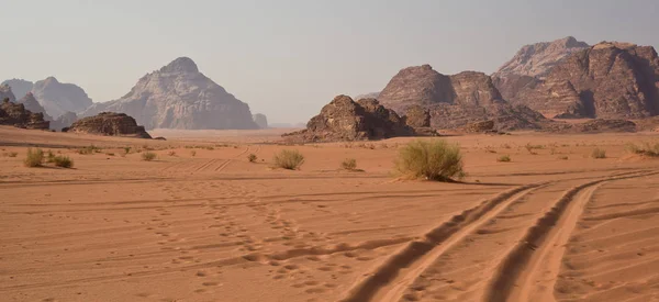 De woestijn in de ochtend-Jordanië — Stockfoto