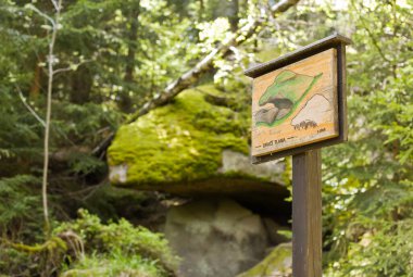 Ejderha ağızlı kaya oluşumu - Ayı Yolu - Doğa Yolu - NP Sumava - Çek Cumhuriyeti