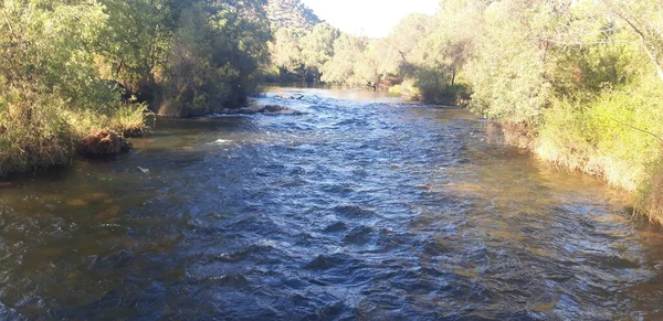 2020 - Paraje Natural de Sierra Morena, ro Jandula, Andjar