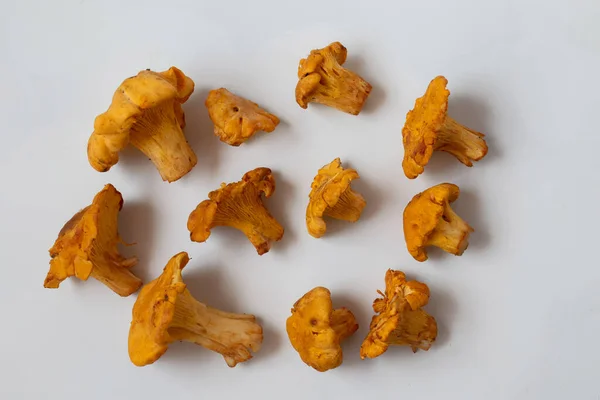 Masanın üzerinde chanterelle mantarları var. Mantarlar ormanda toplanır. Mantarlar çok lezzetli kızartılmış. Yatay çerçeve.