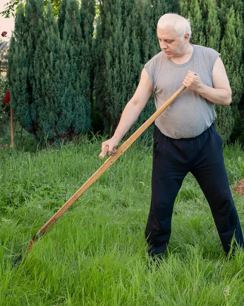Bir adam bahçesinde çim biçiyor. Tırpan evcil, eski. Dikey çerçeve.