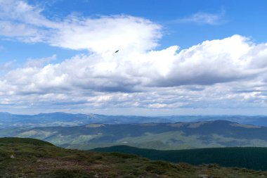 Kuş dağların üzerinden gökyüzünde uçar. Gökyüzü beyaz bulutlarla mavidir. Yatay çerçeve.