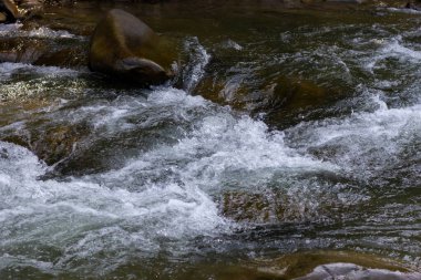 Dağ nehri. Fırtınalı su taşların arasından akar.