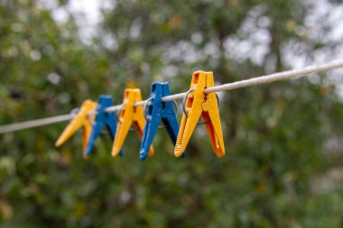 İpte asılı mavi ve sarı mandallar. Seçici odak.