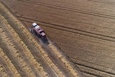Almanya büyük buğday alanında çalışan birleştirme hasat üzerinde havadan görünümü