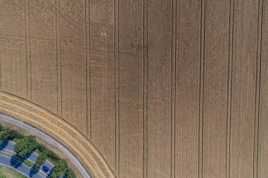 Aerial view of wheat field and tracks from tractor agricultural texture or background of summer agriculture landscape clipart