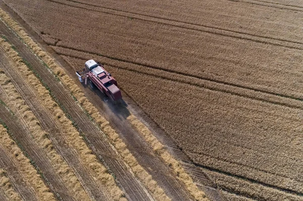 Almanya büyük buğday alanında çalışan birleştirme hasat üzerinde havadan görünümü