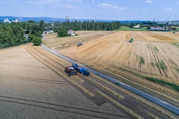 Vista aérea da ceifeira-debulhadora que trabalha no grande campo de trigo na Alemanha — Fotografia de Stock