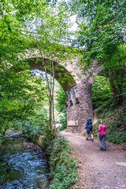 Adam kadın aile bebek sırt çantası doğada güneşli bir ormanda yürüyüş