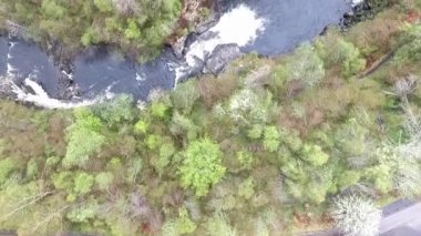 Hava uçuş Shin Falls şelale dağlık İskoçya yeşil ağaçlar vurdu.