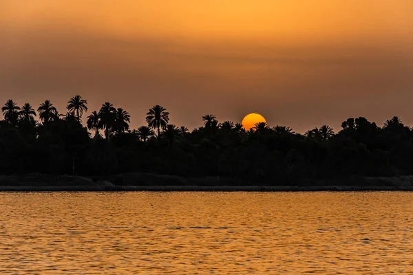 Egypt Nil pohled na řeku při západu slunce s tropické palmy silueta a vzdálené barevné slunce zapadá — Stock fotografie