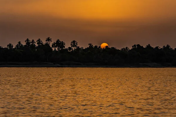 Egypt Nil pohled na řeku při západu slunce s tropické palmy silueta a vzdálené barevné slunce zapadá — Stock fotografie