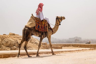 Kahire, Mısır 25.05.2018 - Giza Yaylası kayalık çölde deve sürme kılavuzları