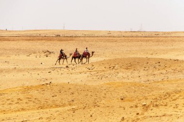 Kahire, Mısır 25.05.2018 - turistler ve Giza Yaylası kayalık çölde deve sürme kılavuzları