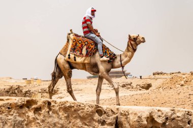 Kahire, Mısır 25.05.2018 - Giza Yaylası kayalık çölde deve sürme kılavuzları