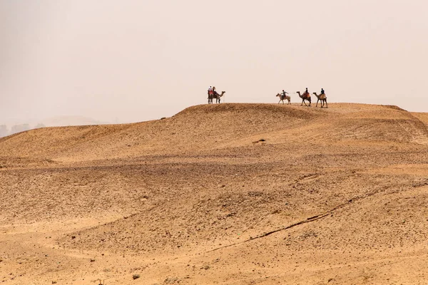 Cairo, Egitto 25.05.2018 - Turisti e guide a cavallo di cammelli sull'altopiano di Giza nel deserto roccioso — Foto Stock