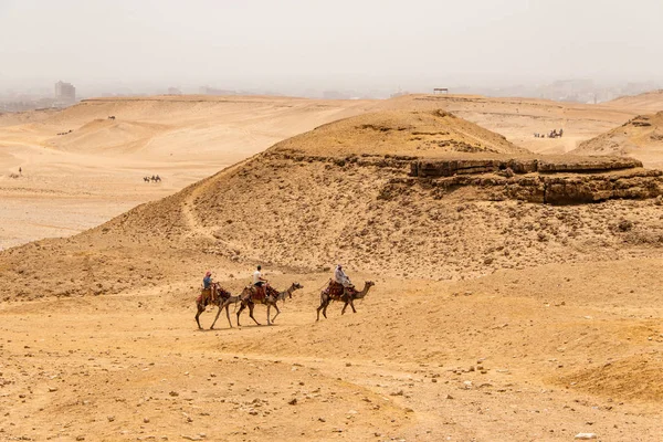 Cairo, Egitto 25.05.2018 - Turisti e guide a cavallo di cammelli sull'altopiano di Giza nel deserto roccioso — Foto Stock