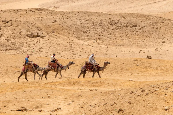 Cairo, Egito 25.05.2018 - Turistas e guias montando camelos no planalto de Gizé no deserto rochoso — Fotografia de Stock