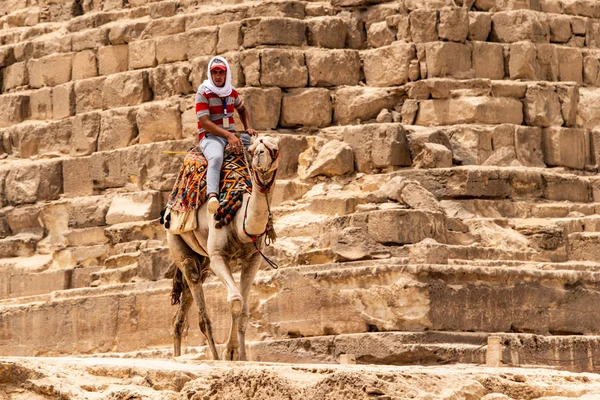 Káhira, Egypt 25.05.2018 - Průvodce na koni velbloudi na Giza plateau v kamenité poušti — Stock fotografie