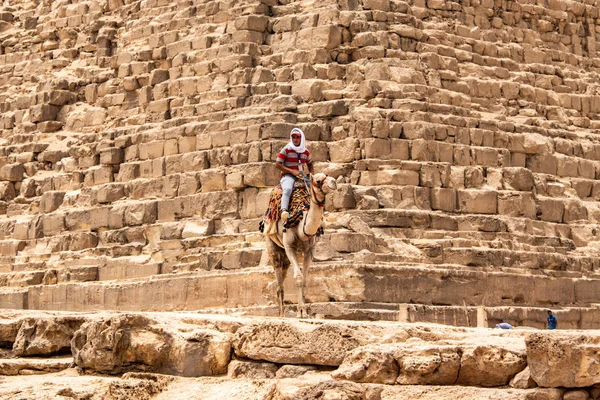 El Cairo, Egipto 25.05.2018 - guías montando camellos en la meseta de Giza en el desierto rocoso — Foto de Stock