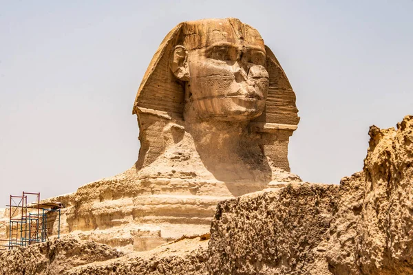 誰も空背景エジプトのギザのピラミッドとエジプト大スフィンクス全身のポートレート頭。コピー スペース — ストック写真