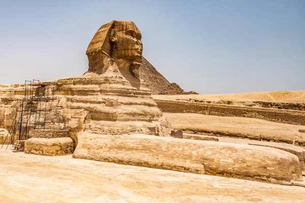 Egyiptomi nagy Szfinx teljes test portré feje, Giza háttér egyiptomi piramisok üres senki. másol hely — Stock Fotó