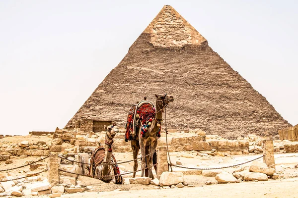 Las Grandes Pirámides del desierto de Giza cerca de El Cairo en Egipto patrimonio cultural de la Unesco — Foto de Stock