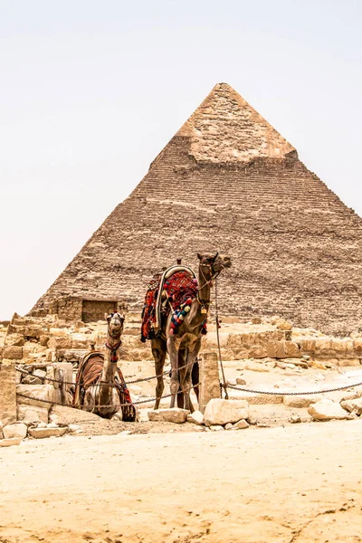 Las Grandes Pirámides del desierto de Giza cerca de El Cairo en Egipto patrimonio cultural de la Unesco — Foto de Stock