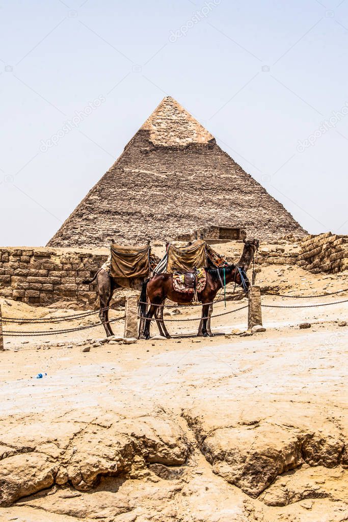 The Great Pyramids of Giza desert near Cairo in Egypt unesco cultural heritage