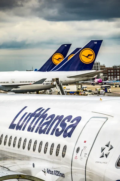 Frankfurt Alemania 23.02.19 Lufthansa Airbus avión de dos motores en el aeropuerto de Fraport esperando el vuelo —  Fotos de Stock