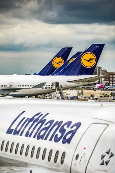 Frankfurt Alemania 23.02.19 Lufthansa Airbus avión de dos motores en el aeropuerto de Fraport esperando el vuelo — Foto de Stock