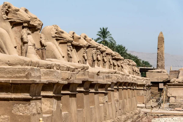 Avenue of the Ram Head Sphinxes Karnak Temple em Luxor, Egito — Fotografia de Stock