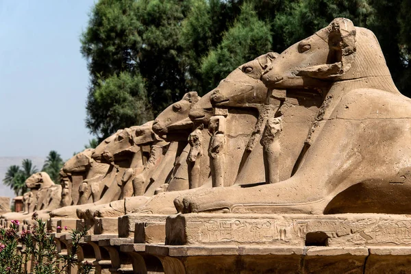 Avenue of the Ram Head Sphinxes Karnak Temple em Luxor, Egito — Fotografia de Stock