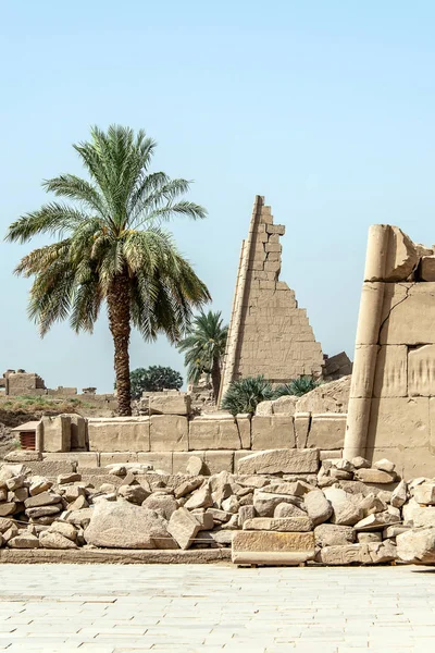 Anscient Temple of Karnak in Luxor - Archology Ruine Fibes Egypt beside the nile river — стоковое фото