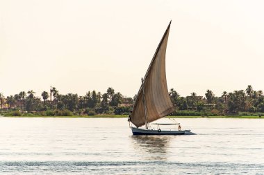 17.05.18 Nil nehri Batı Şeria'da Aswan Mısır felucca yelkenli tekne
