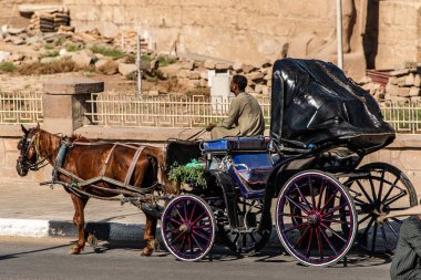 Luxor Mısır 23.05.2018 Arka Planda Luxor tapınağının dışında Turist Caleche at arabası