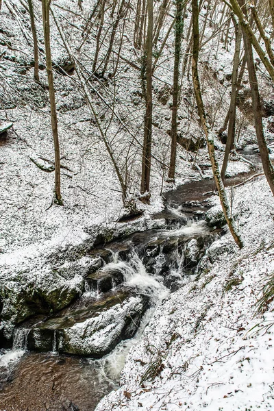 ドイツの山々の冬の風景、雪の森、雪の木、冬の小川、滝、ブロデンバッハ近くの自然 — ストック写真