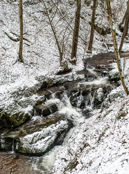 Alman dağlarında kış manzarası, karlı orman, karda ağaçlar, kış deresi, şelale, brodenbach yakınındaki doğa — Stok fotoğraf