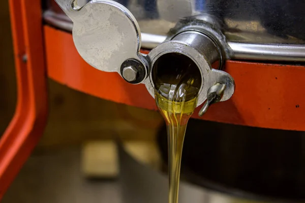 Extracting honey, honey flowing out of centrifuge into a sieve hanging in a bucket — Stock Photo, Image