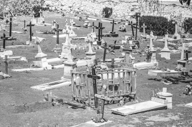 Tenerife 'de hayvanlar için bir hayvan mezarlığında mezar taşları