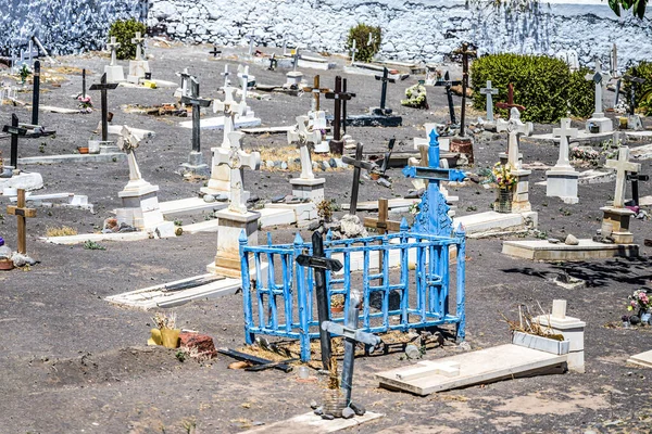 Pietre tombali in un cimitero per animali domestici a Tenerife — Foto Stock
