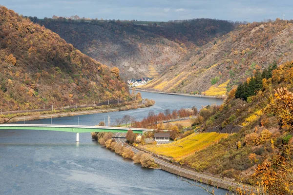 Kebun anggur sungai mosele germany rhineland palantino indah oranye dan merah hutan musim gugur dan anggur — Stok Foto