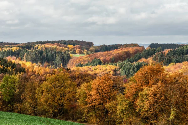 Piękny pomarańczowy i czerwony jesienny las, wiele drzew na pomarańczowych wzgórzach niemiecki Nadrenia Palantino — Zdjęcie stockowe