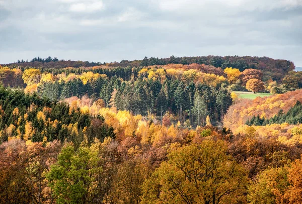 Gyönyörű narancs és vörös őszi erdő, sok fa a narancssárga dombokon Németország rhineland palantino — Stock Fotó