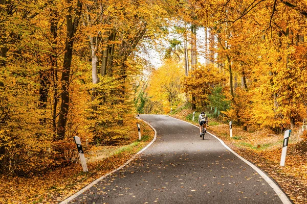 Ciclista motociclista em uma estrada sinuosa com folhas de queda soltas através de árvores de outono na Alemanha Renânia palantino — Fotografia de Stock