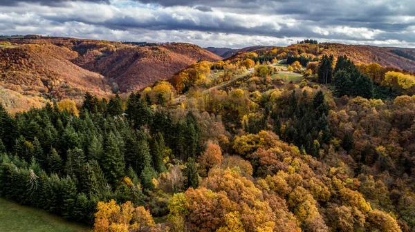 Gyönyörű narancs és vörös őszi erdő, sok fa a narancssárga dombokon Németország rhineland palantino — Stock Fotó