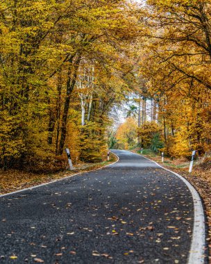 Gevşek sonbahar yaprakları ile dolambaçlı bir yol Almanya 'nın gergedan tahtırevanında sonbahar ağaçları arasında