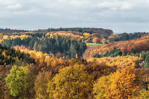 Bela floresta de outono laranja e vermelha, muitas árvores nas colinas de laranja Alemanha Renânia Palantino — Fotografia de Stock